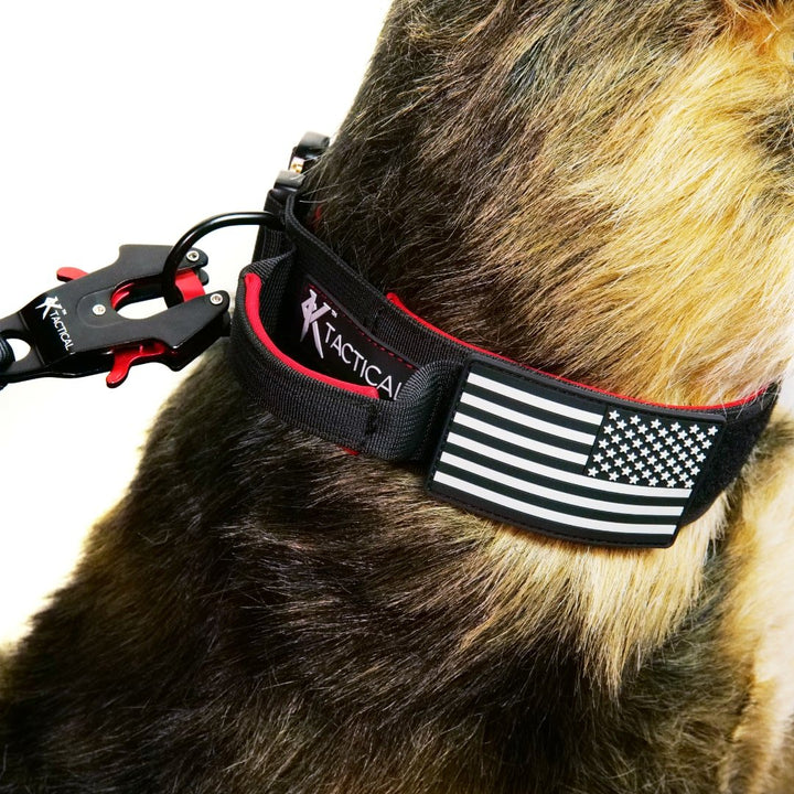 KTactical Tactical Dog Collar K9 Rugged Heavy Duty Handle Black + Red Ktactical Kit Patch - Bang Bang Airsoft