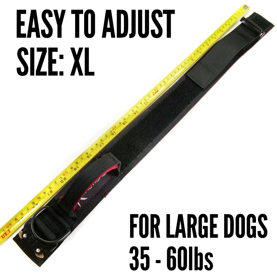 KTactical Tactical Dog Collar K9 Rugged Heavy Duty Handle Black + Red Ktactical Kit Patch - Bang Bang Airsoft
