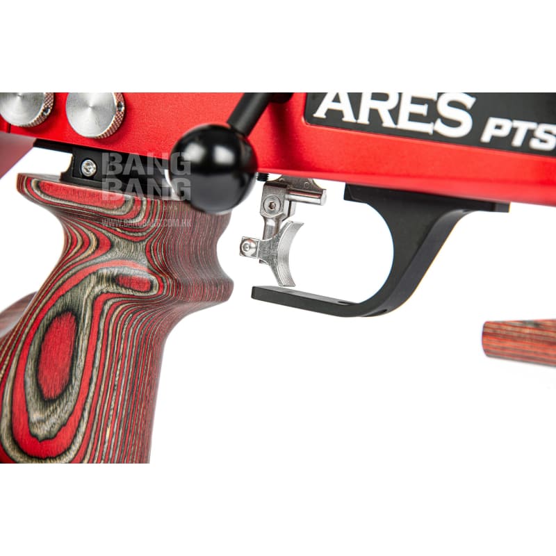 ARES Precision Target Shooting Rifle - Bang Bang Airsoft