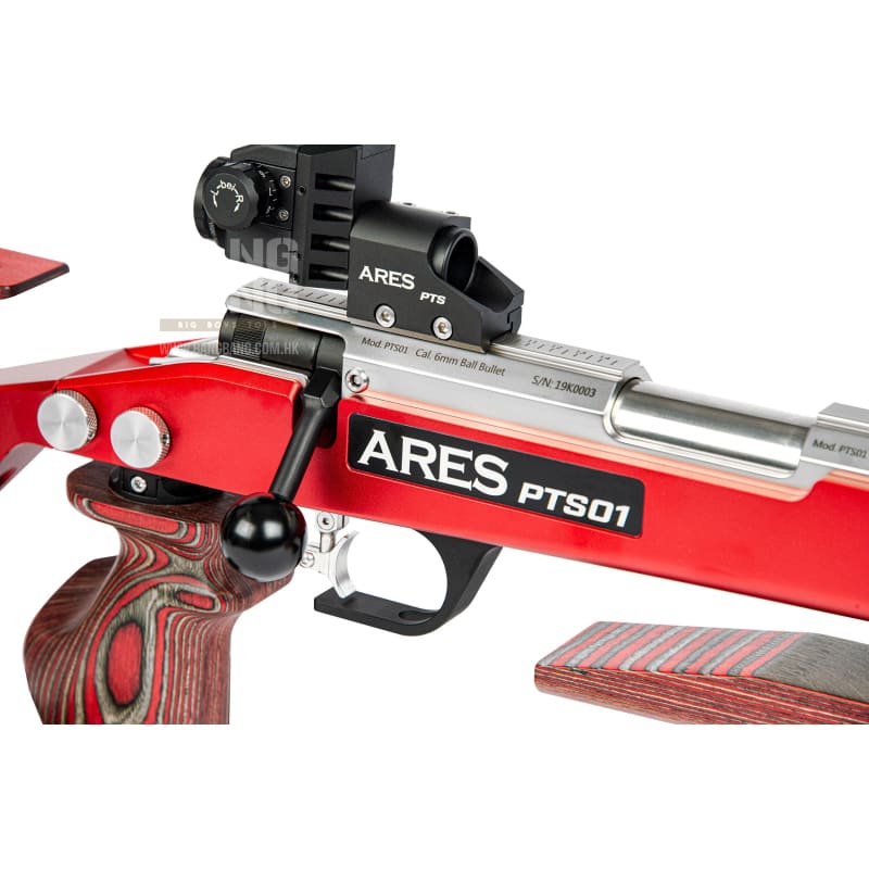 ARES Precision Target Shooting Rifle - Bang Bang Airsoft